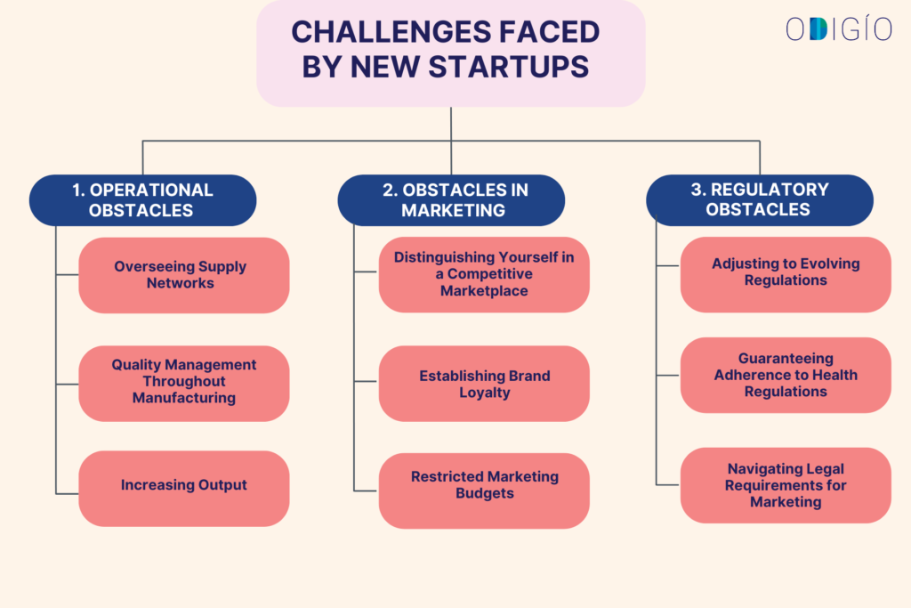 Challenges Faced by New Startups Challenges Faced by New Startups