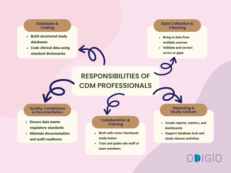 Responsibilities of CDM Professionals Responsibilities of CDM Professionals