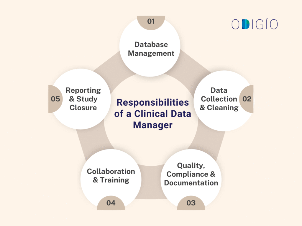Responsibilities of a Clinical Data Manager
