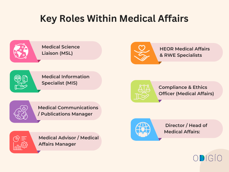 Key Roles Within Medical Affairs
